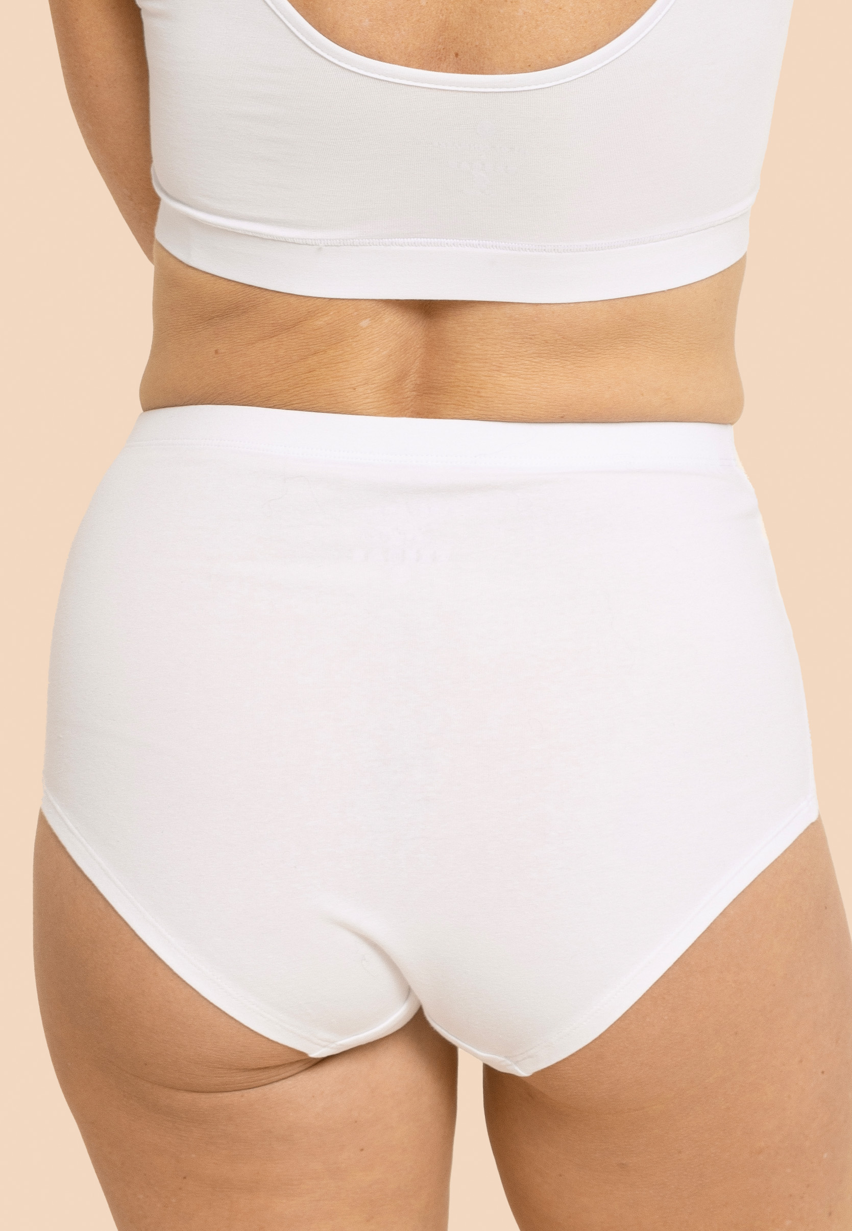 10par_briefs_sort